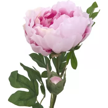 EUROPALMS Peony Branch Classic, Artificial Plant, Pink, 80cm 82530210