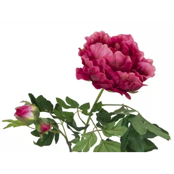 EUROPALMS Premium ramură de bujor plantă artificială, magenta, 100cm 82530221