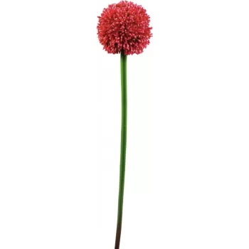 EUROPALMS tulpină artificială de Allium, roșu, 55cm 82530568