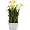 EUROPALMS narcisă artificială, 23 cm 82530542