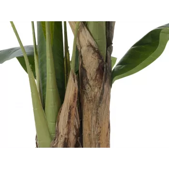 EUROPALMS bananier artificial, 120cm, frunze verzi realiste, ghiveci negru 82509537
