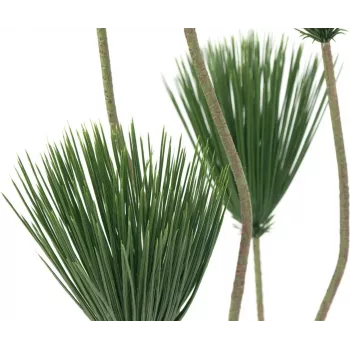 EUROPALMS plantă artificială de papirus, 130 cm 82600235