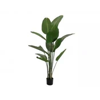 EUROPALMS Strelitzia artificială, 170 cm 82540523