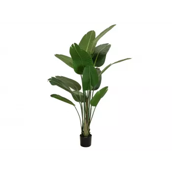 EUROPALMS Strelitzia artificială, 170 cm 82540523