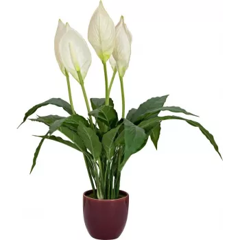 EUROPALMS crin de pace artificial, 60 cm 82505660