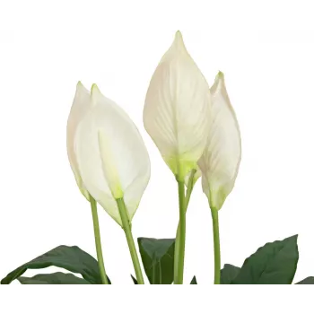 EUROPALMS crin de pace artificial, 60 cm 82505660