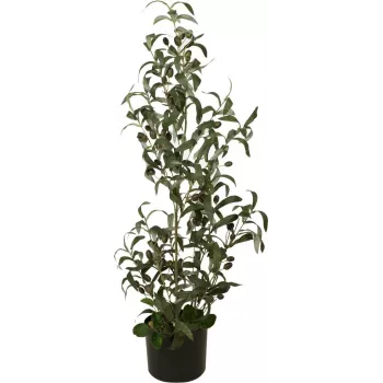 EUROPALMS măslin artificial, 90 cm 82506422