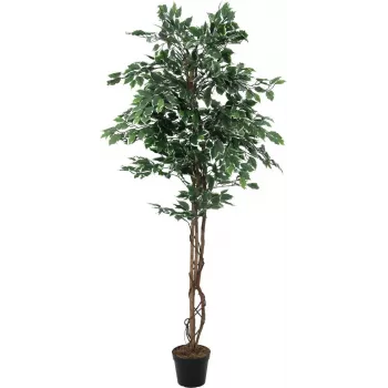 Plantă artificială EUROPALMS Silberficus Benjamina, 180 cm 82506116
