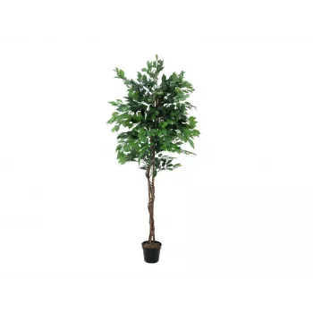 Plantă artificială EUROPALMS Ficus Benjamina cu mai multe tulpini, 210cm 82506127