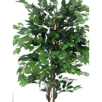 Plantă artificială EUROPALMS Ficus Benjamina cu mai multe tulpini, 210cm 82506127