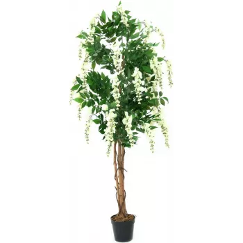 Plantă artificială EUROPALMS Goldregen, alb, 150cm (82507105)
