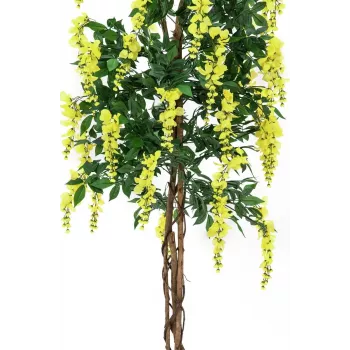 Plantă artificială EUROPALMS Goldregen, galben, 150cm 82507115