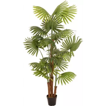 Palmier evantai artificial EUROPALMS, 165 cm 82509305