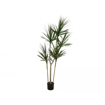 Plantă artificială EUROPALMS Dracena, verde, 170 cm 82505799