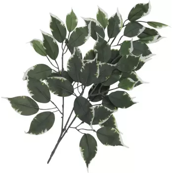 Ramură artificială de Ficus EUROPALMS, pachet de 12 82506100