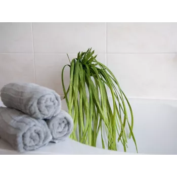 Iarbă de mare artificială EUROPALMS (EVA), verde 82531062