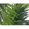 EUROPALMS Plantă artificială palmier, 150 cm 82509495