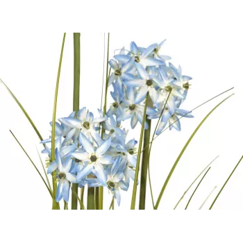 Plantă artificială de iarbă Allium EUROPALMS, albastru, 120 cm 82600168