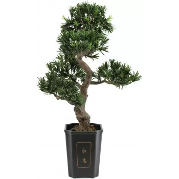 Plantă artificială Bonsai Podocarpus EUROPALMS, 80cm 82600116