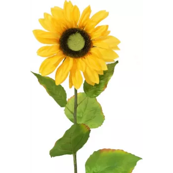 Floarea-soarelui artificială EUROPALMS, 70 cm 82522097