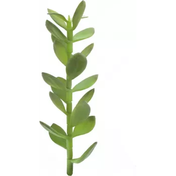 EUROPALMS Planta artificială lăstar de pom al norocului, 30cm 82809010