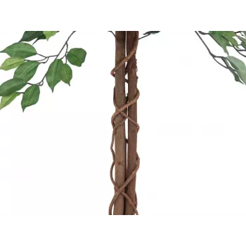 EUROPALMS Planta artificială Ficus Benjamina cu mai multe tulpini, 150cm 82506125