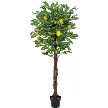 EUROPALMS Copac de lămâi artificial, 150cm 82507815