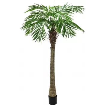 EUROPALMS Planta artificială Phoenix Palm Luxor, 300cm 82510723