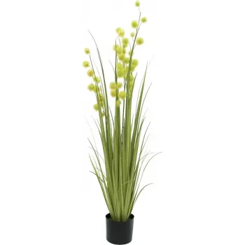 Plantă artificială iarbă pompon EUROPALMS, 122 cm, verde 82500136