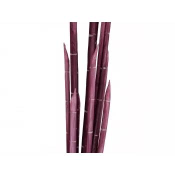 Plantă artificială EUROPALMS Magic Onion Grass, roz, 134 cm 82532003