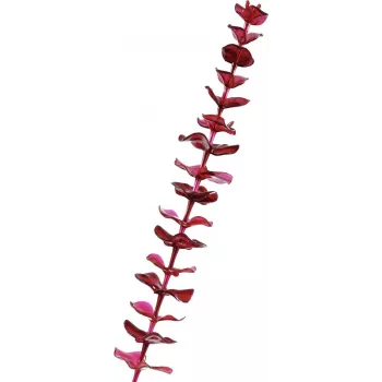 Crenguță artificială de eucalipt cristal EUROPALMS, bordo, 81cm 82600203