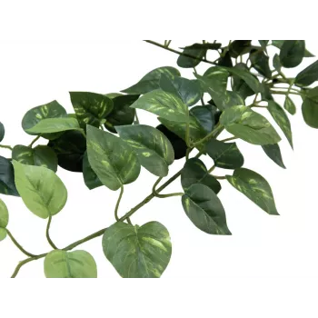 Gard viu din tufișuri Pothos EUROPALMS Classic, artificial, 70cm (82502201)