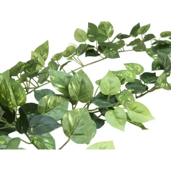 Ghirlandă Pothos EUROPALMS Classic, artificială, 180cm 82503728