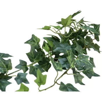 Paravan din tufișuri de iederă artificială EUROPALMS Classic, 70cm 82502208