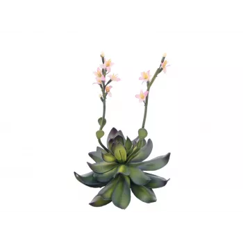 Planta artificială EUROPALMS Stone Rose (EVA), roz, 32cm 82530572