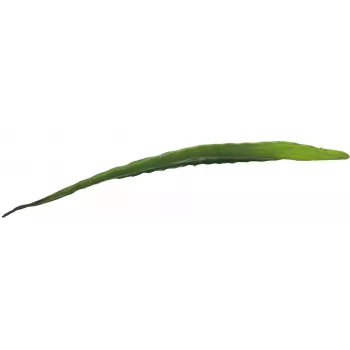 Frunză de aloe artificială EUROPALMS (EVA), verde, 60cm 82530581