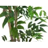 EUROPALMS Ficus Longifolia Artificial Plant, 165cm 82506350