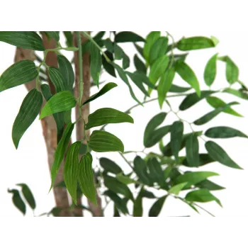 Plantă artificială EUROPALMS Ficus Longifolia, 165cm 82506350