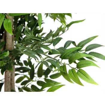 Plantă artificială EUROPALMS Ficus Longifolia, 165cm 82506350