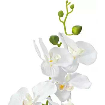 Plantă artificială EUROPALMS Orchid, albă, 80cm (82530362)