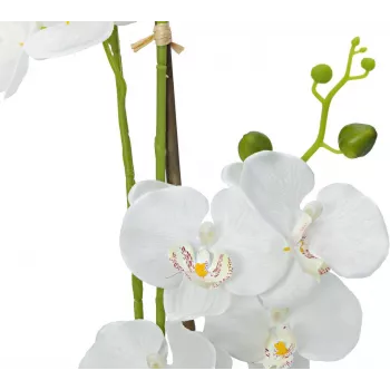 Plantă artificială EUROPALMS Orchid, albă, 80cm (82530362)