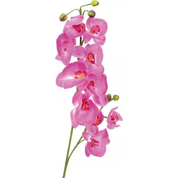 Ramură de orhidee artificială EUROPALMS, violet, 100 cm 82530322