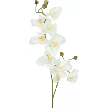 Ramură de orhidee artificială EUROPALMS, crem-alb, 100cm (82530323)