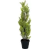 Plantă artificială EUROPALMS Leyland Cypress, 60cm 82606959