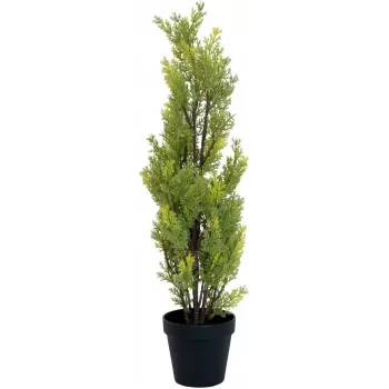 Plantă artificială EUROPALMS Leyland Cypress, 60cm 82606959