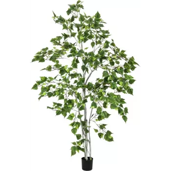 Plantă artificială EUROPALMS Birch Tree, 180cm 82505231