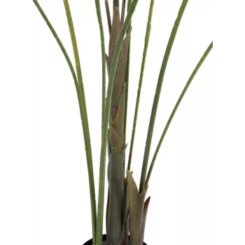 Palmier Areca artificial EUROPALMS Großblatt-Areca, 185cm (82509442)