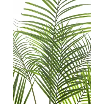 Palmier Areca artificial EUROPALMS Großblatt-Areca, 185cm (82509442)