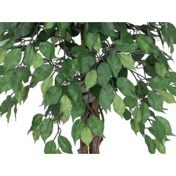 Plantă artificială EUROPALMS Ficus Benjamina cu mai multe tulpini, 180 cm 82506126