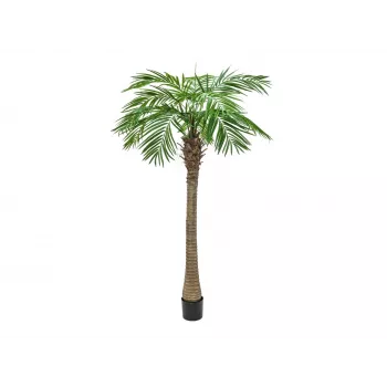 Plantă artificială EUROPALMS Phoenix Palm Luxor, 210cm 82510721